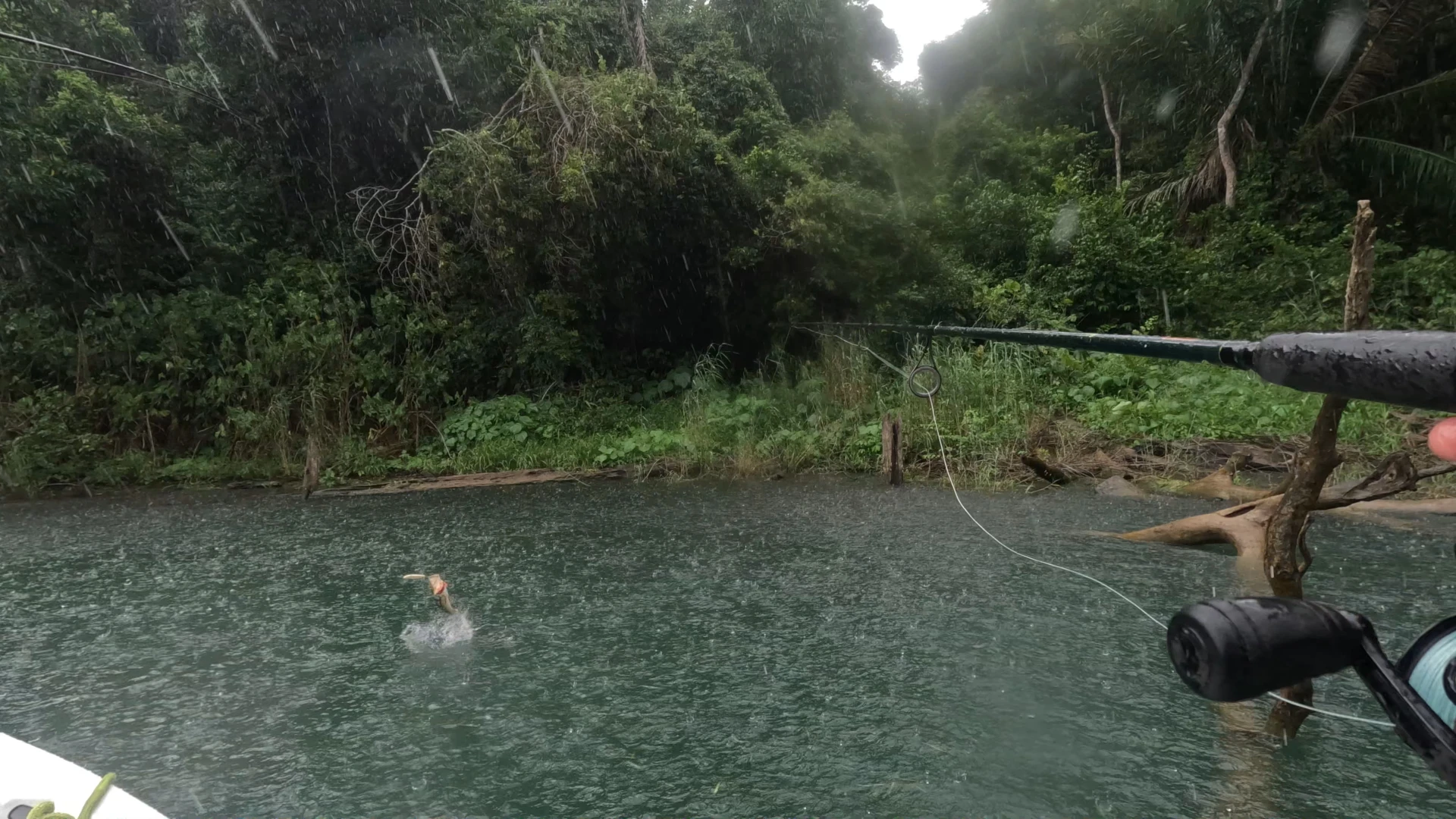 Un Pez Sargento Peleando en la Lluvia - Un Pez Sargento Peleando en la Lluvia