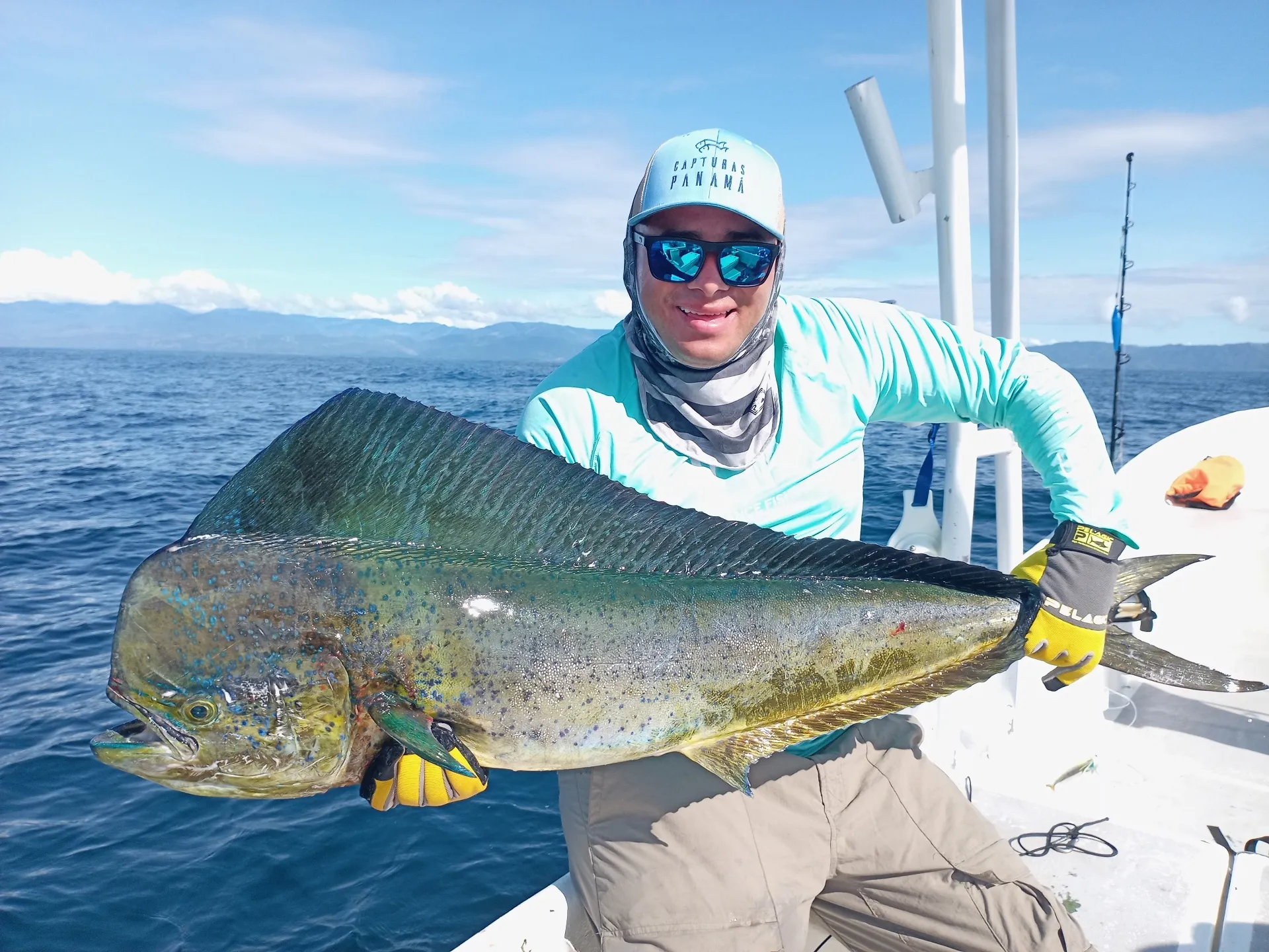 Captura de un increible Dorado - en cambutal es increiblemente fácil capturar un gran pez dorado.