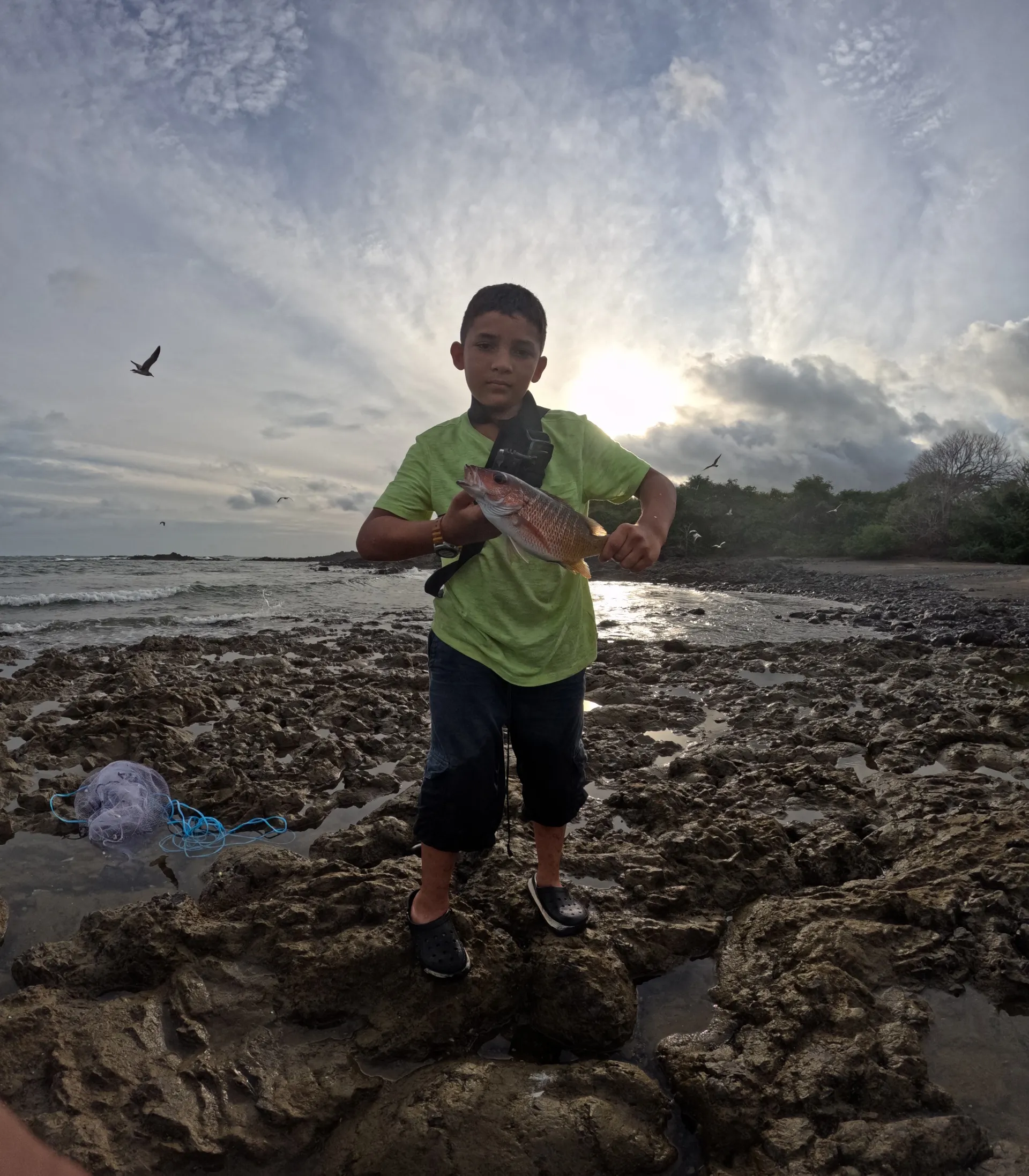 La desembocadura del río Oria: Un paraíso acuático lleno de diversidad piscícola - La desembocadura del río Oria es conocida por su abundante vida piscícola. En las aguas, se puede observar una diversidad de peces que nadan en cardúmenes, exhibiendo sus colores brillantes y patrones únicos.