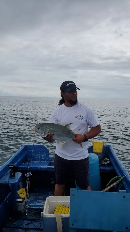 Emoción en el mar: Capturando un pequeño jurel en Pocrí - En esta emocionante foto, se captura el momento en que un pescador logra la captura de un pequeño jurel en las aguas de Pocrí. Con su caña de pescar en alto y una sonrisa de satisfacción en el rostro, el pescador muestra su destreza y la emoción de este logro. El jurel, brillante y vibrante, refleja la diversidad de la vida marina en esta región costera. Esta imagen es un testimonio de la pasión y la adrenalina que se sienten al practicar la pesca deportiva en Pocrí, un lugar donde la belleza del océano Pacífico se encuentra con la emoción de la captura.