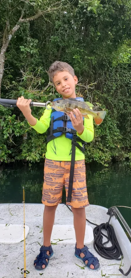 Paciencia y recompensa: Capturando un Sargento en el Lago Gatún - En esta imagen, se muestra un momento de pura emoción cuando un pescador logra capturar un magnífico pez sargento en el Lago Gatún. Con sus llamativos colores y su lucha enérgica, el sargento es un desafío emocionante para los pescadores deportivos. El pescador muestra una sonrisa de satisfacción mientras sostiene al sargneto, sabiendo que su paciencia y habilidad han sido recompensadas. Esta captura destaca