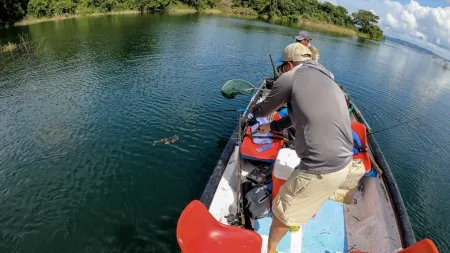 Muelle de la Represa, Lago Gatún - Un experto pescador exhibe con orgullo su sargento capturado en las aguas del lago Gatún. Un gran testimonio del éxito que puede alcanzar con la dedicación y la pasión por la pesca deportiva. Nuestro agradecimiento a @fishnpanama por su maravilloso trabajo fotográfico.