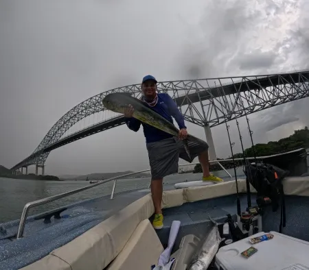 Muelle Público de Diablo - El Puente de las Américas se alza majestuosamente sobre el Muelle Público de Diablo, conectando las orillas de Panamá en un abrazo arquitectónico. En esta imagen icónica, el puente muestra su grandeza, con sus torres imponentes y sus cables metálicos entrelazados.