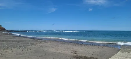 El Ciruelo, Los Santos - Esta impresionante vista destaca la vibrante diversidad de la flora que adorna El Ciruelo. La frondosidad de la vegetación, el brillo de las hojas bajo el sol radiante y su contrastante juego de colores con la arena blanca de la playa conforman un tapiz natural que realza la esencia de este paraíso para pescadores.
