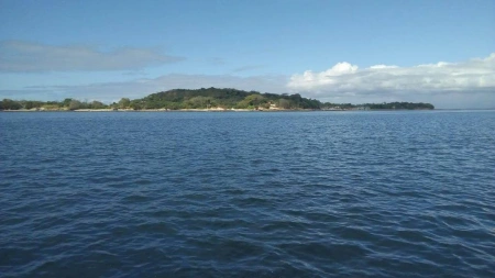 Isla Chepillo - Desde este ángulo, la Isla de Chepillo muestra su belleza en todo su esplendor. La mezcla de vegetación exuberante y playas cristalinas crea un paisaje digno de un lienzo.
