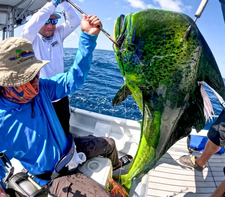 Banco Hannibal: El Paraíso de los Pescadores Deportivos - 