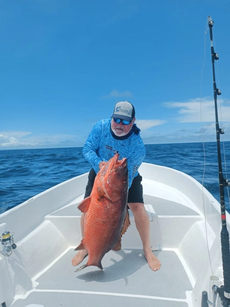 Emocionantes Capturas de Pargo Dientón en Pesca Cambutal - Sumérgete en la emoción de la pesca deportiva en Panamá con nuestras impresionantes capturas de Pargo Dientón. Este pez, famoso por su tamaño y fuerza, proporciona una experiencia de pesca inigualable. Nuestras fotos de clientes satisfechos mostrando sus capturas dan testimonio de las emocionantes aventuras de pesca que puedes vivir con Pesca Cambutal.