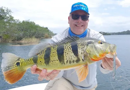 Recompensa en Gatun Sport Fishing: Un Sargento Magnífico - La satisfacción de nuestro cliente al sostener un Sargento magnífico, representa la recompensa de una jornada de pesca llena de acción y aprendizaje en Gatun Sport Fishing.