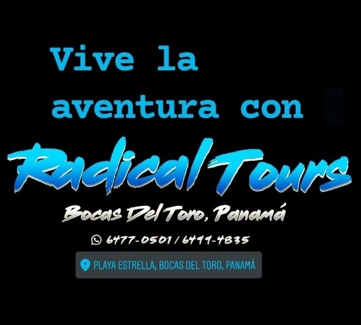 Radical Tours and Fishing