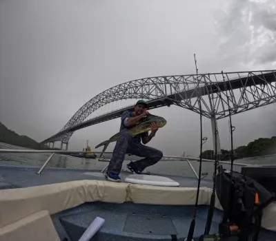 Esta vibrante fotografía captura el espíritu de camaradería y emoción compartida en el grupo de pesca al llegar al lugar de pesaje. El equipo, conformado por pescadores apasionados, se acerca con orgullo, sosteniendo sus capturas con entusiasmo y expectativa.
La imagen refleja la alegría y la satisfacción en los rostros de los pescadores, quienes han invertido tiempo y esfuerzo en perseguir sus capturas. Se puede apreciar una variedad de especies, desde dorados relucientes hasta otros peces de colores vibrantes, que evidencian la diversidad de la pesca en las aguas panameñas.