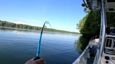 Esta imagen captura el momento en que Rainier González hijo, experimentan el primer tirón en sus cañas. Los rostros llenos de expectación y emoción, sus ojos fijos en la línea, mientras el sol brilla sobre ellos, inicia una jornada prometedora de pesca.