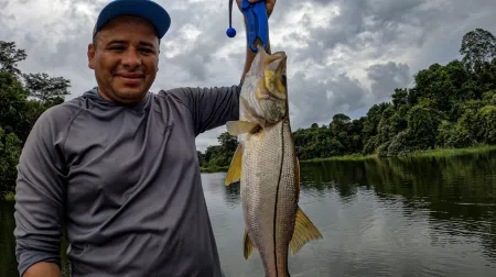 Capturada en el momento justo, esta imagen refleja la emoción compartida por todos los pescadores tras la captura de un impresionante sargento en el lago Gatún. Una demostración de camaradería y la alegría que se vive en la pesca deportiva. Crédito a @fishnpanama por capturar este momento tan especial.
