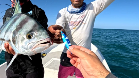 La foto muestra la eficacia de los jigs pequeños en acción, demostrando que la paciencia y la estrategia adecuada pueden resultar en la captura exitosa de un robusto Pez Gallo.