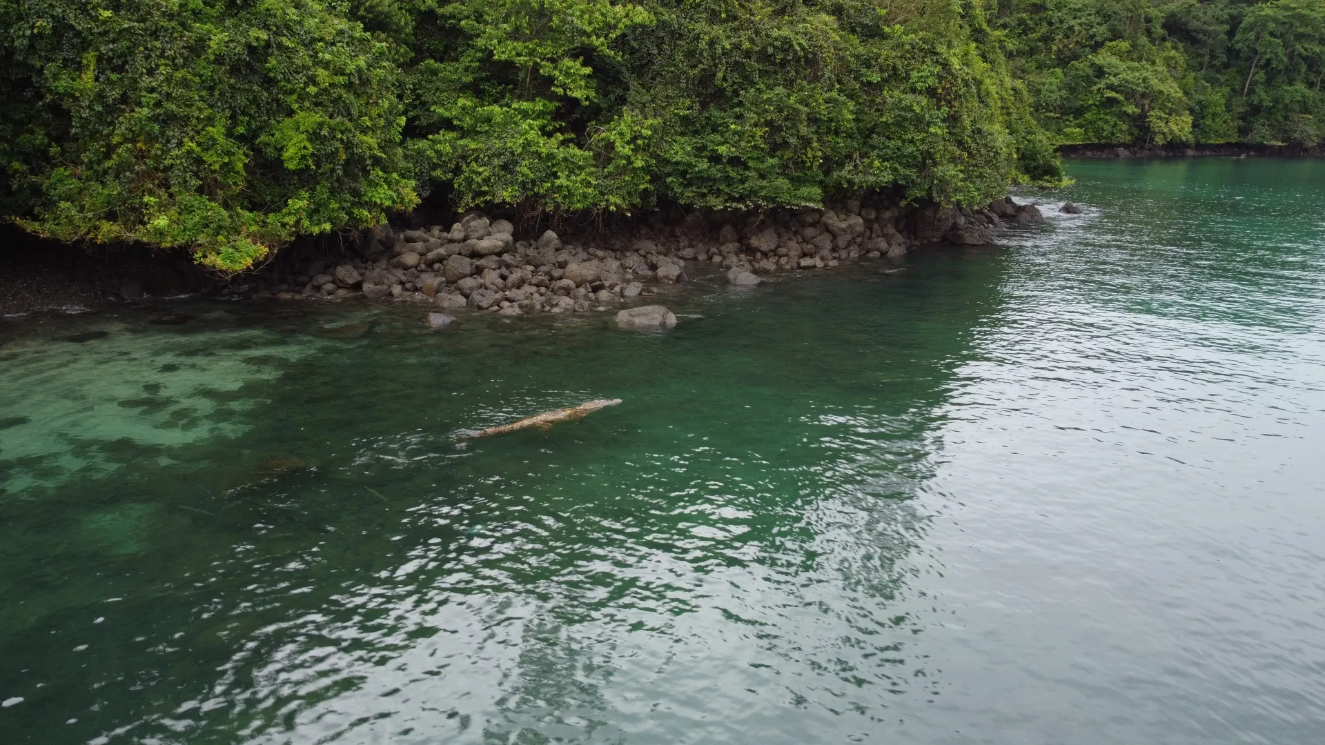 El Guardián de las Aguas de Coiba