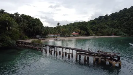 Isla de Coiba - En esta foto impactante, se observa un cocodrilo asomándose por las aguas cristalinas de Coiba. La presencia del reptil, con su piel rugosa y prehistórica y sus ojos alerta, nos recuerda la verdadera naturaleza salvaje de este paraíso. Coiba, conocida por su rica biodiversidad, se muestra aquí en su forma más cruda y emocionante, destacando la belleza indomable y el poder de la vida silvestre en su hábitat natural.