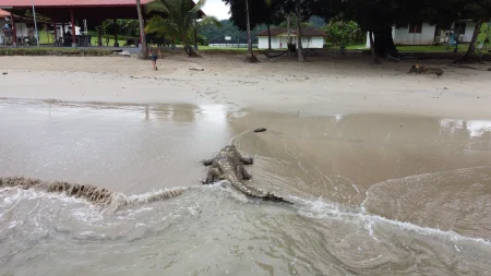 Imagen del lugar Isla de Coiba