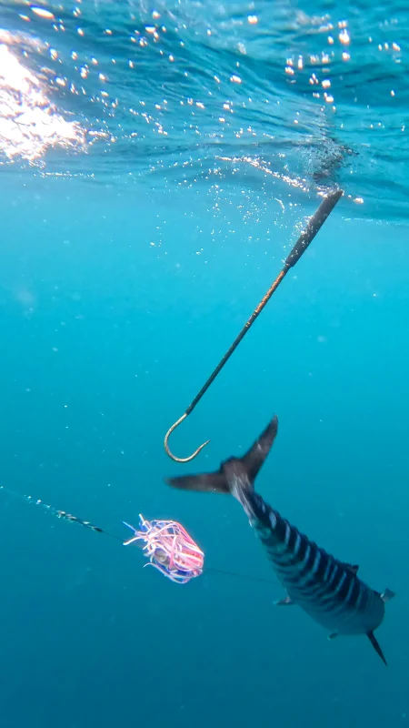 Imagen del lugar Isla de Coiba