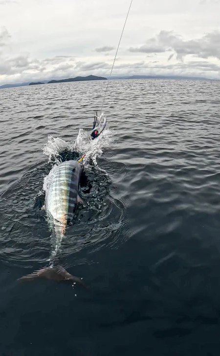 Imagen del lugar Isla de Coiba