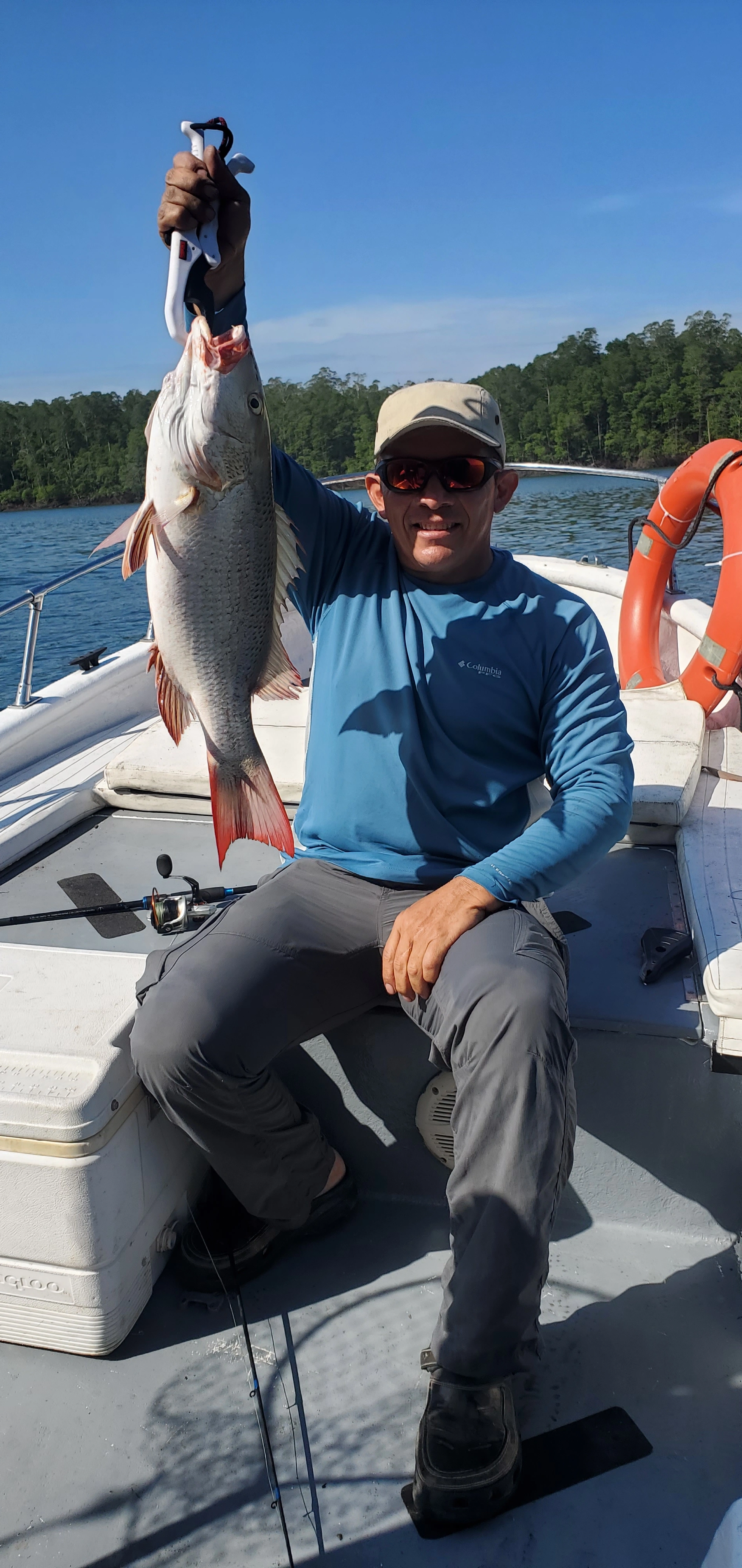 Imagen del lugar Golfo de Montijo