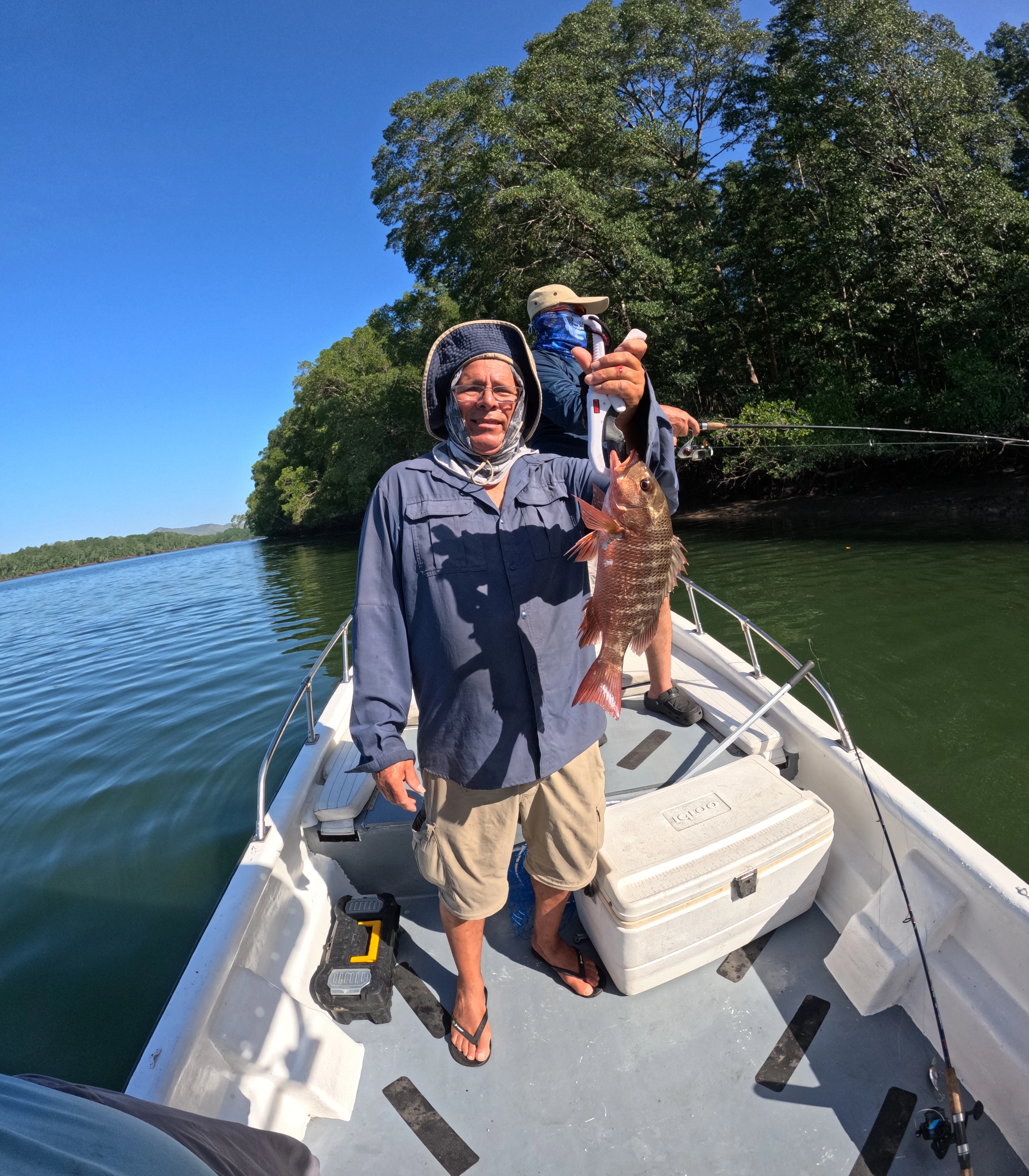 Imagen del lugar Golfo de Montijo