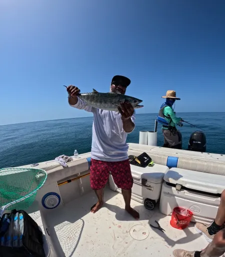 Aventuras de pesca en las Islas de las Perlas - En esta emocionante imagen, se muestra la captura de un magnífico ejemplar, reflejo de la abundante vida marina que se encuentra en las Islas de las Perlas. Estas hermosas islas, en el Golfo de Panamá, son conocidas por ofrecer inolvidables experiencias de pesca deportiva en un entorno paradisíaco. ¡Descubre el emocionante mundo de la pesca en las Perlas y atrapa momentos inolvidables junto a estas joyas del océano