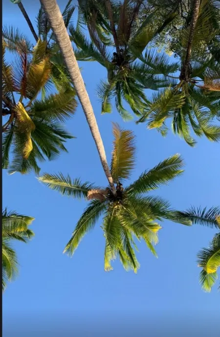 Esta vista diurna de Palo Seco muestra el impresionante paisaje de esta zona de pesca. Las aguas azules, la playa dorada y el cielo despejado crean un ambiente inmejorable para disfrutar de la pesca deportiva.