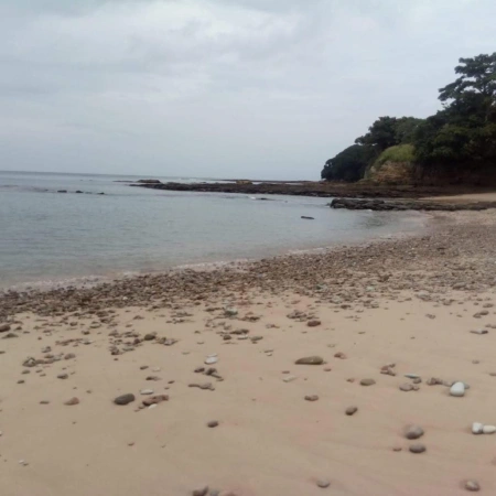 Desde este ángulo, la Isla de Chepillo muestra su belleza en todo su esplendor. La mezcla de vegetación exuberante y playas cristalinas crea un paisaje digno de un lienzo.