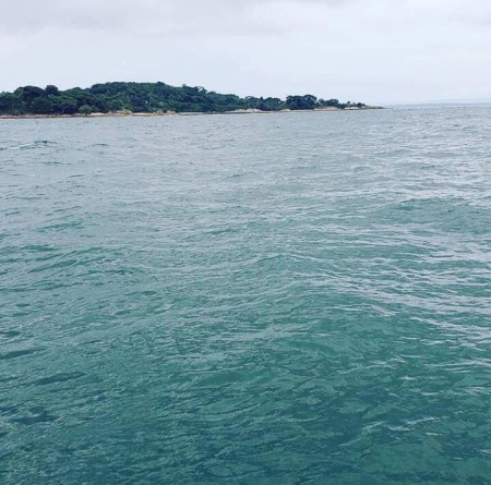 Isla Chepillo - Desde este ángulo, la Isla de Chepillo muestra su belleza en todo su esplendor. La mezcla de vegetación exuberante y playas cristalinas crea un paisaje digno de un lienzo.