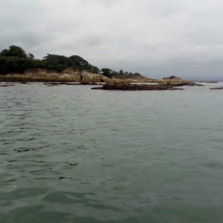 Isla Chepillo - Desde este ángulo, la Isla de Chepillo muestra su belleza en todo su esplendor. La mezcla de vegetación exuberante y playas cristalinas crea un paisaje digno de un lienzo.