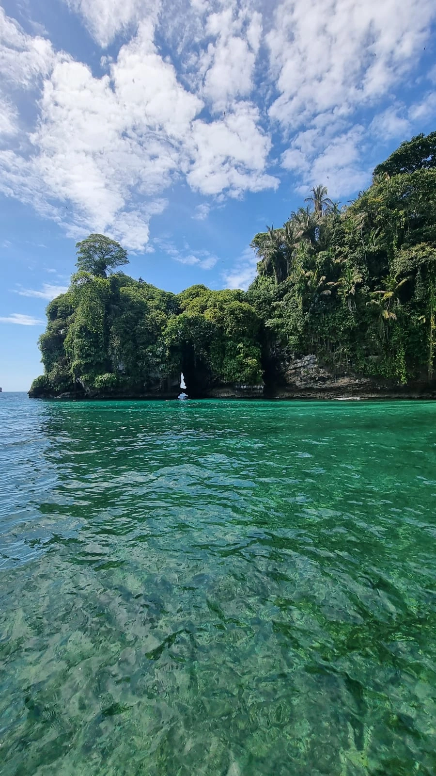 Sinfonía de la Naturaleza