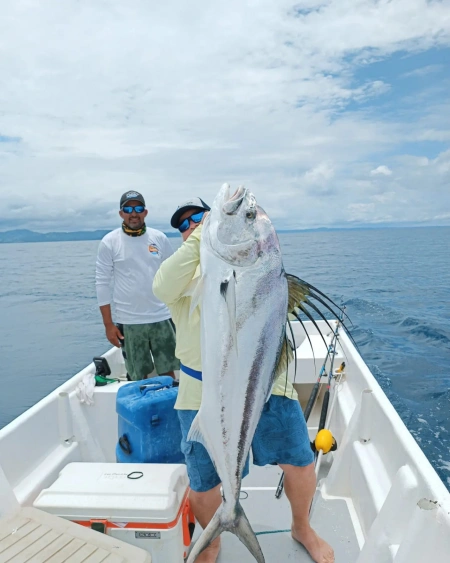 Nuestras fotos de clientes con sus capturas de Pez Gallo capturan la emoción y la satisfacción de la pesca deportiva en Cambutal. Este poderoso pez, conocido por su tamaño y fuerza, ofrece una verdadera prueba de habilidad para cualquier pescador. Únete a nosotros y crea tu propia historia de pesca.