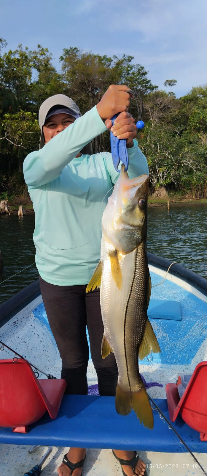 Robalo en el Lago Gatún
