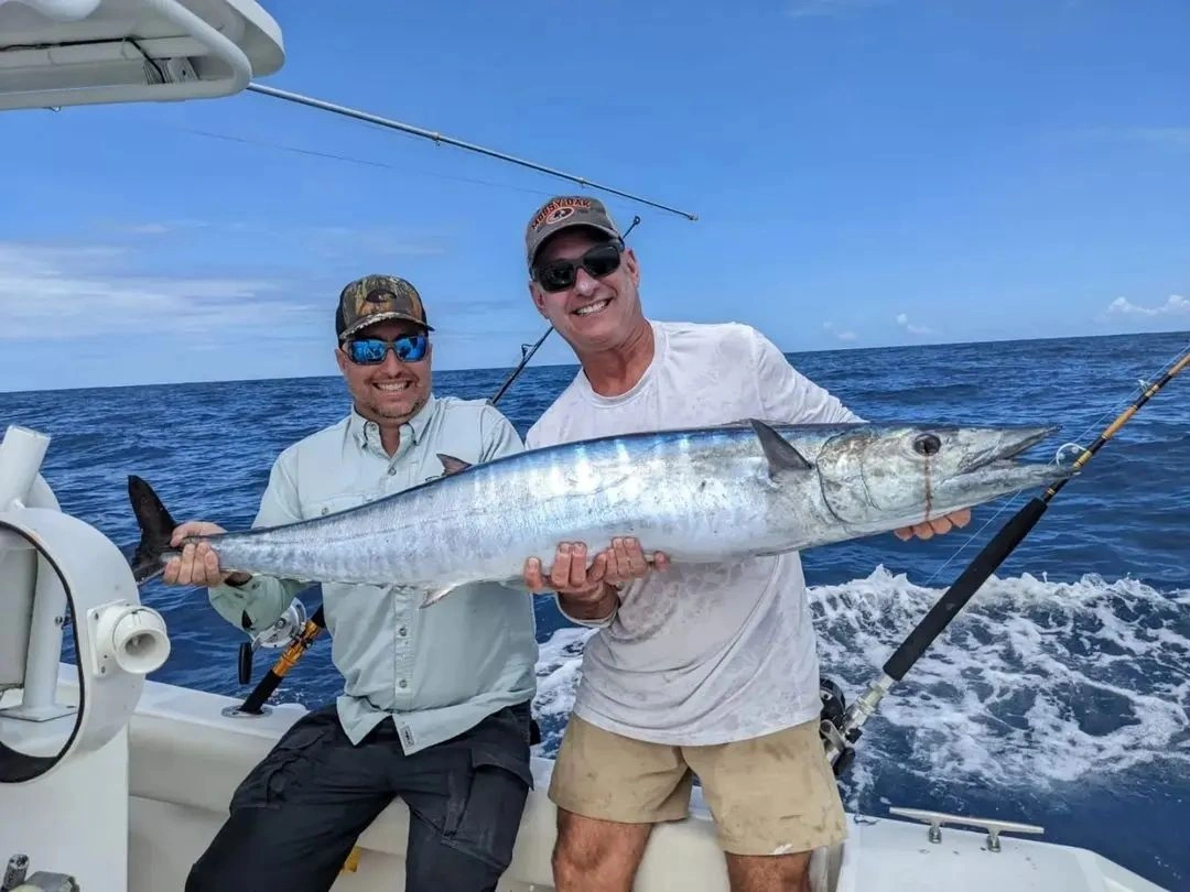 Wahoo - En una brillante mañana panameña, a bordo del Listo, un Bertram de 30 pies equipado para la pesca, se logró la captura de un wahoo. Después de un viaje suave hasta uno de los puntos de pesca más ricos en el Golfo de Panamá, la tripulación preparó el equipo de alta calidad y lanzó las líneas al agua.

A medida que el barco se deslizaba por las aguas tranquilas, la tensión en la línea indicó que algo había mordido el anzuelo. La pelea comenzó y, tras un emocionante tira y afloja, emergió un wahoo, una criatura magnífica y poderosa, conocida por su velocidad y fuerza.

El equipo trabajó en sincronía para asegurar la captura, y finalmente, el wahoo fue subido a bordo. Su piel iridiscente brillaba bajo el sol, y su tamaño y forma aerodinámica eran una prueba de su reputación como uno de los peces más rápidos del océano.

Fue un día memorable para todos a bordo del Listo, y la captura del wahoo fue celebrada como un logro significativo, un testimonio del apasionante deporte de la pesca y de la abundancia de la vida marina en las aguas de Panamá.