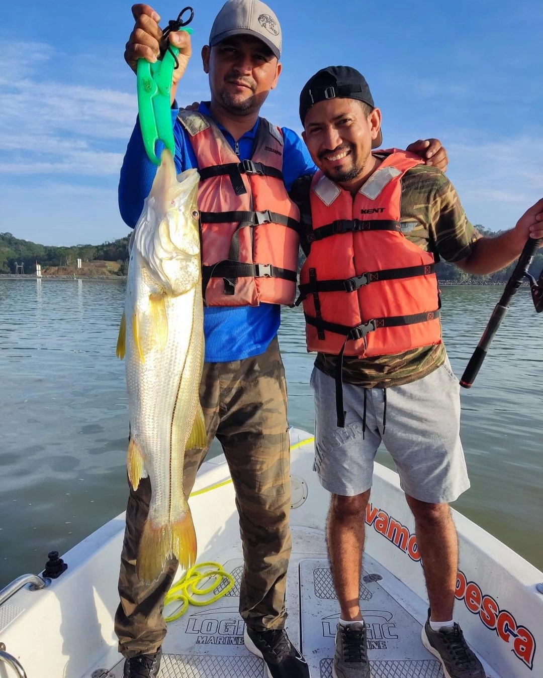 Captura de Robalo en Lago Gatun - Nuestros amigos zarparon del muelle puntualmente a las 6:20 AM, listos para una emocionante jornada de pesca. Y vaya que el Lago Gatun los trato bien: a las 8:30 AM, tuvieron un impresionante pique de róbalo 💪🏻. Sin duda, un inicio prometedor para su aventura en el agua. ¡Qué sigan las buenas capturas!