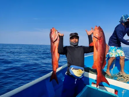 Pargos de Seda a Bordo - Los pargos de seda son una de nuestras capturas favoritas. ¿Estás listo para pescar uno de estos en tu próximo viaje con nosotros?