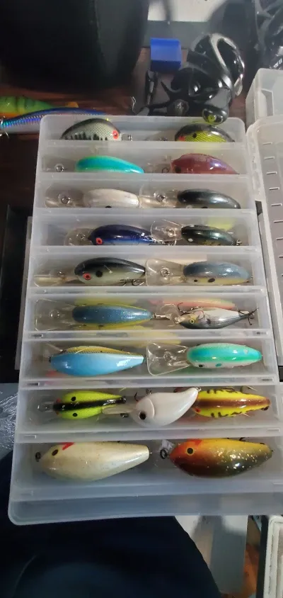 Esta fotografía muestra una colección de nuestros señuelos favoritos, con el crankbait ocupando un lugar de honor. Cada señuelo, con su diseño y colores únicos, es una herramienta esencial en nuestra aventura de pesca en Puerto Mutis. Pero es el crankbait, el favorito indiscutible del Pargo Rojo, el que a menudo nos brinda las capturas más satisfactorias y memorables.