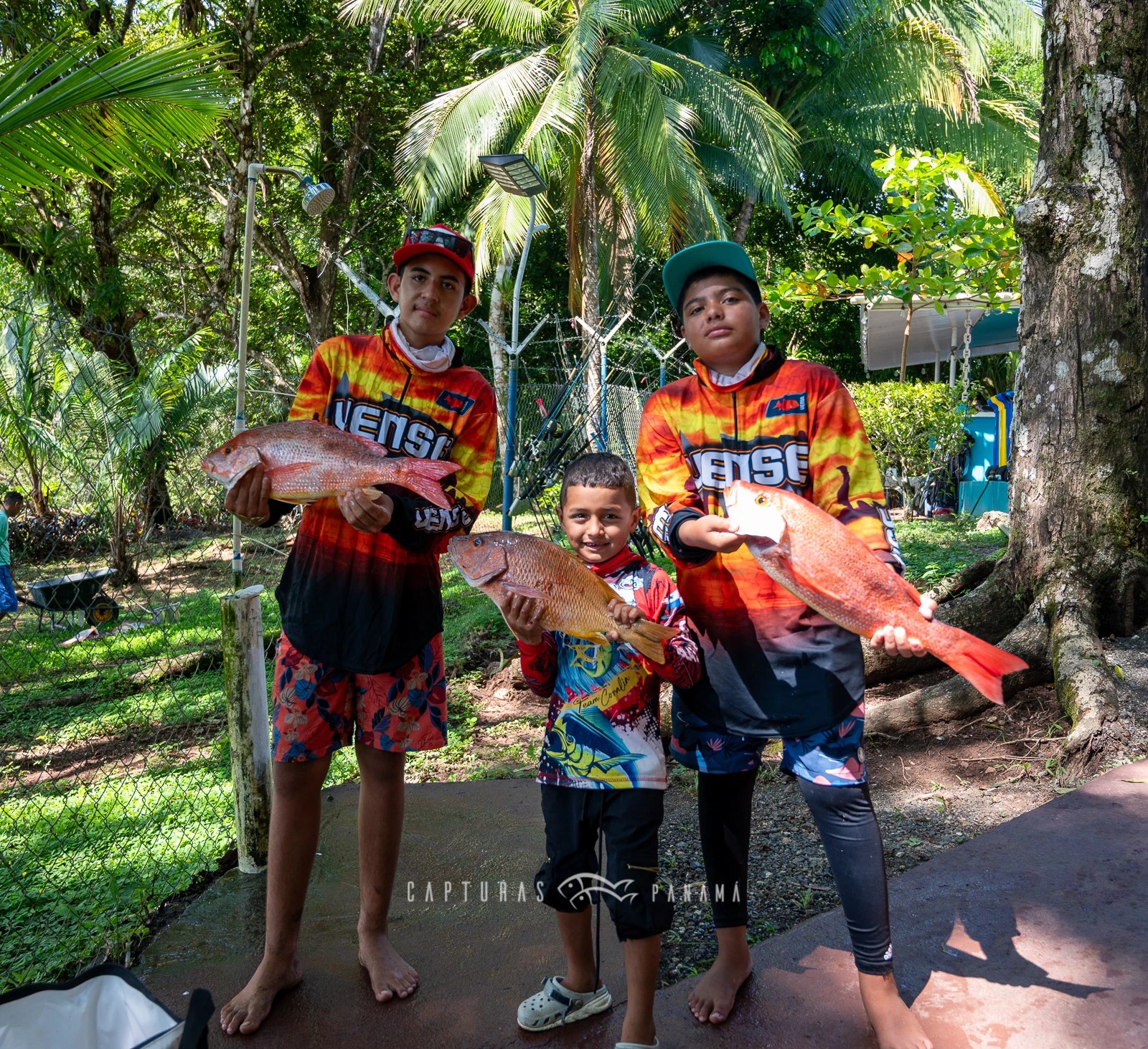 Imagen del artículo: Expedición Corimar 2025 – Tierra de Gigantes