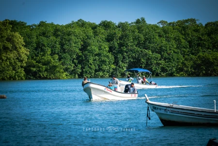 Imagen relacionada al artículo "Torneo de Pesca Deportiva Puerto Mensabé 2026 | Azuero".