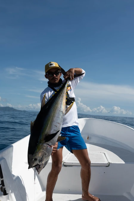 Imagen relacionada al artículo "Pesca de Atún en Panamá: Temporada, Zonas y Consejos".