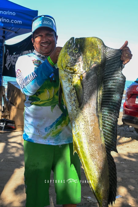 Imagen relacionada al artículo "Pesca de Dorado en Panamá: Dónde Encontrarlo y Cómo Capturarlo".