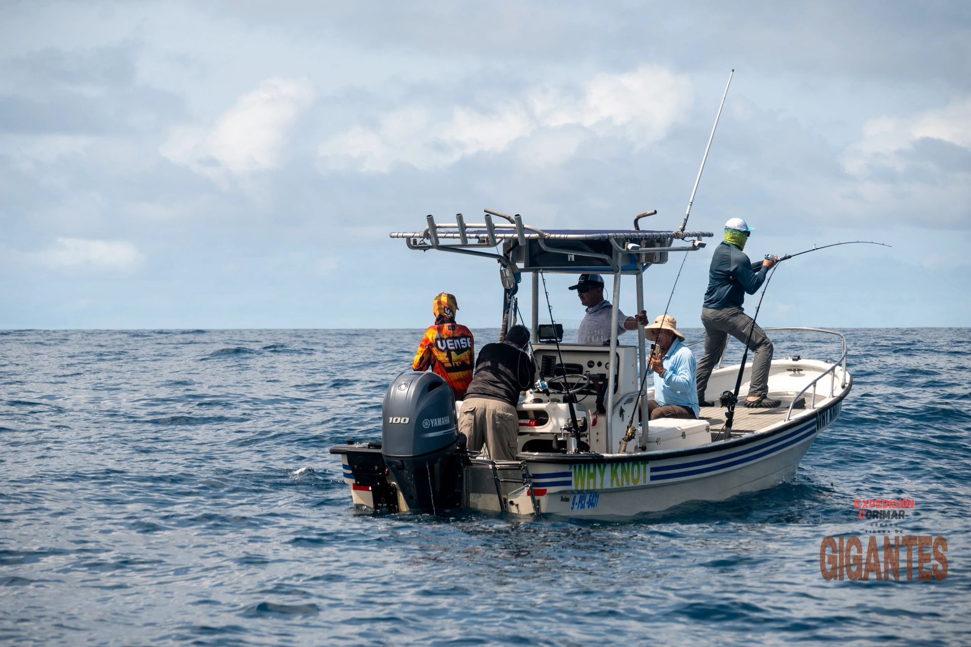 Pesca deportiva en Panamá: guía para empezar, comprar equipo y pescar.