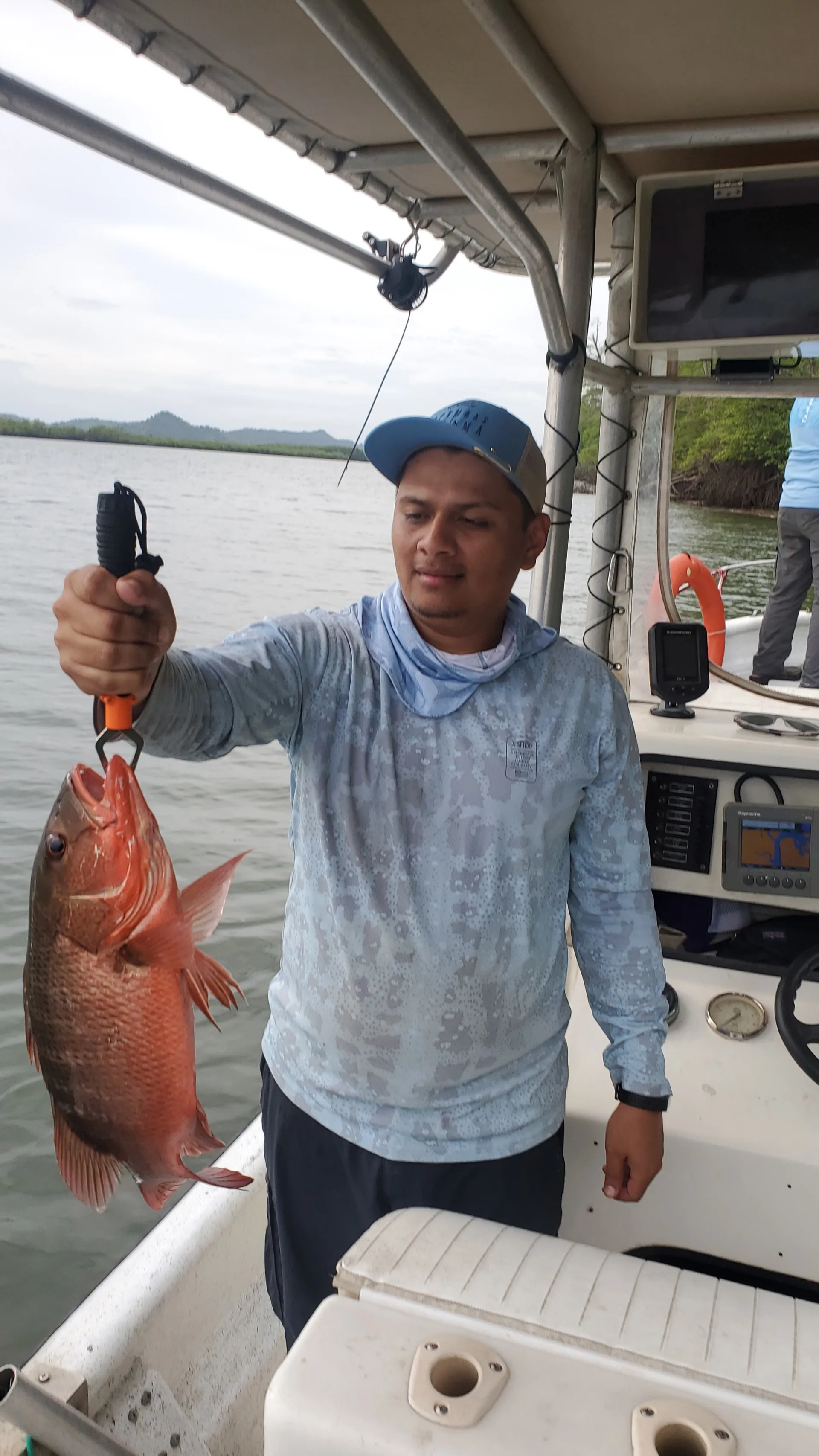 El refugio verde: Explorando los mangles de Puerto Mutis