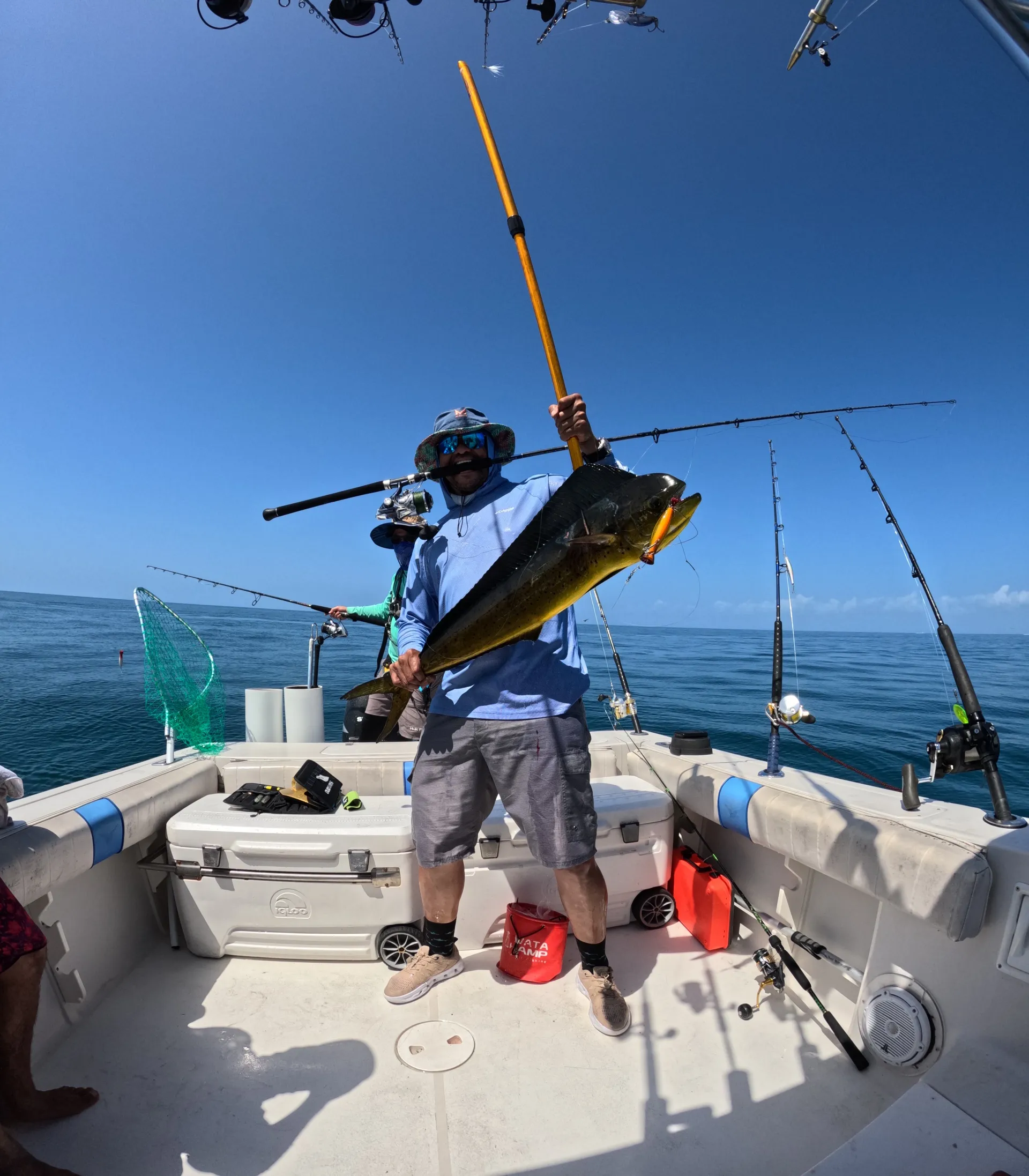 Una joya dorada capturada en las Islas de las Perlas