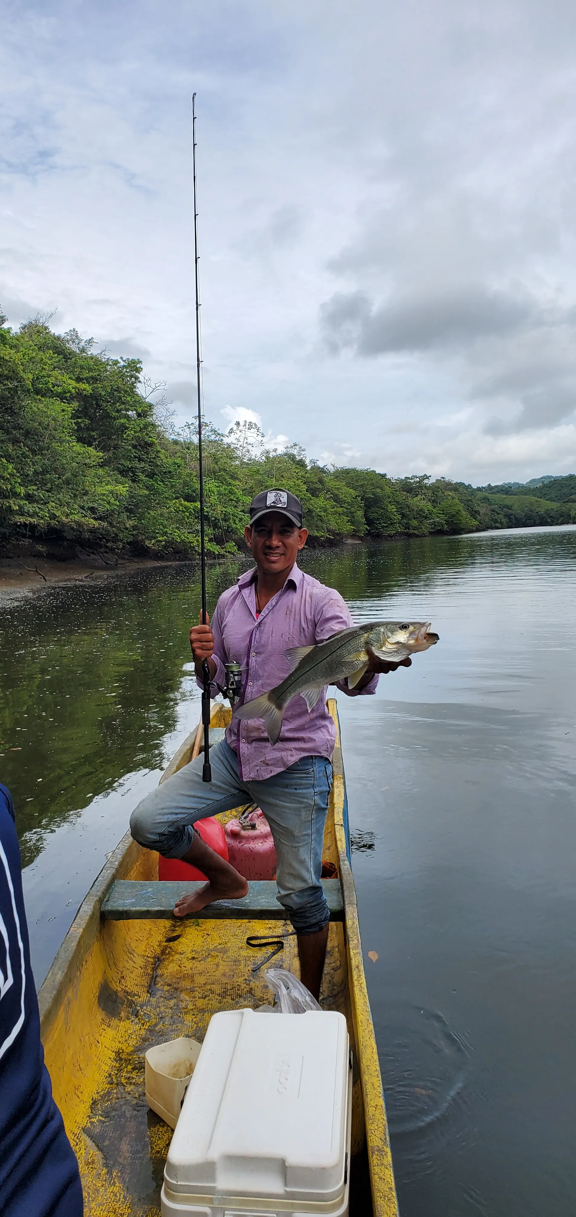 Róbalo en Panamá