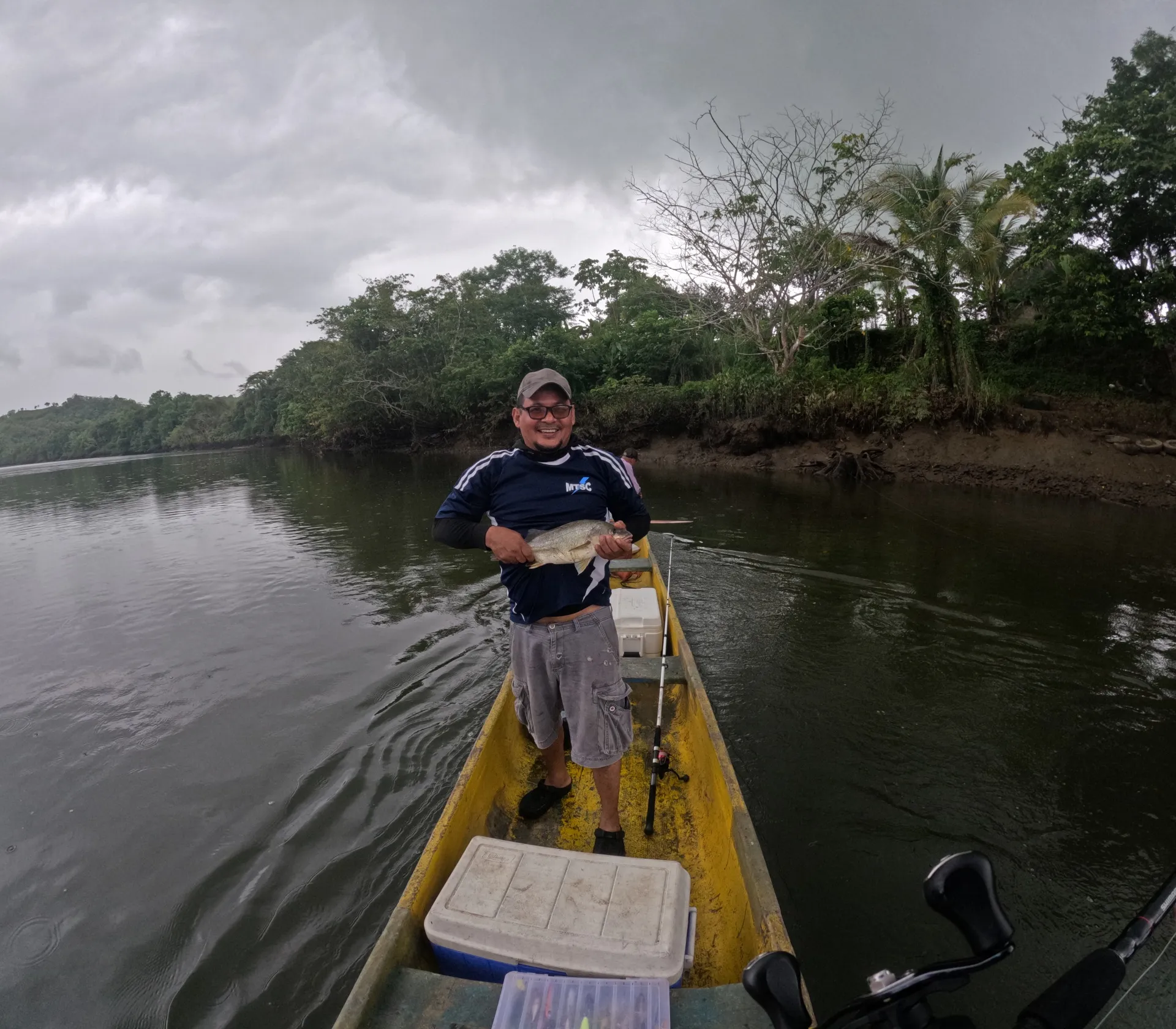 Corvina en Panamá